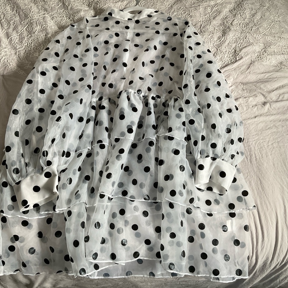 Sheer Polka Dot Blouse
